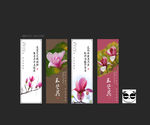 玉兰花