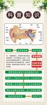 耳部结构失聪流程图科普知识展架