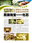 古生物化石单页