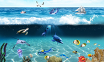 海洋生物