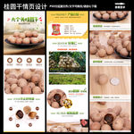 桂圆干详情设计
