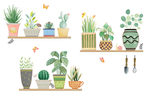 植物叶子组合图