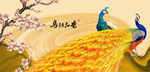 孔雀