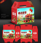 草莓包装箱