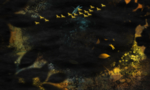 抽象油画