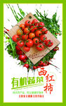 小西红柿
