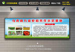 万亩虾稻共作示范基地