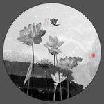 国画荷花