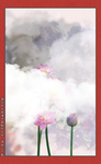写意荷花