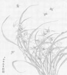 余稚花鸟图册白描底稿工笔画兰花