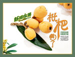 枇杷
