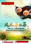 凤凰单枞茶 潮汕茶