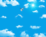 天空