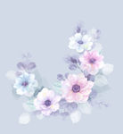 手绘花