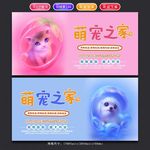 宠物