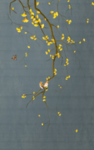 金色花鸟玄关