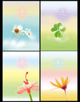 一花一世界