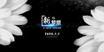 梦想 翅膀 新品发布会