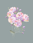 手绘花