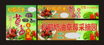 草莓