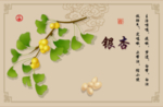银杏