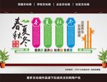养生文化墙