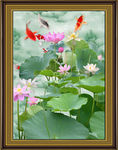 荷花