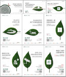 高端地产 海报 叶子 手绘