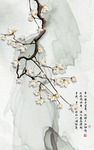 玉兰花玄关