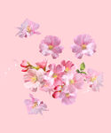 手绘花
