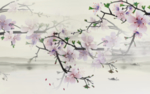 唯美