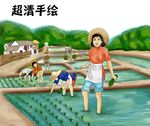 插秧（谷雨）