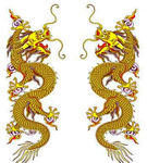 龙