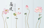 中国风水墨荷花
