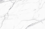 新款 奢华新爵士白 TIF合