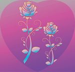 玫瑰花