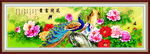 富贵花开