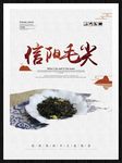 信阳毛尖
