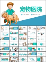 兽医宠物医院PPT