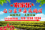 草莓海报