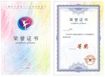 获奖证书 荣誉证书 奖状 艺术