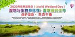世界湿地日