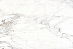 新品豪华新爵士白 tif合层