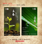 二十四节气之立春