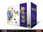 蓝莓 花青素 蓝莓包装 展开图