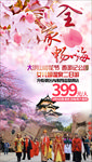 大洪山樱花节旅游海报