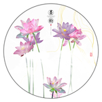 高清荷花