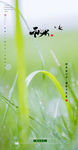 雨水