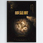 板蓝根