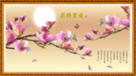 玉兰花